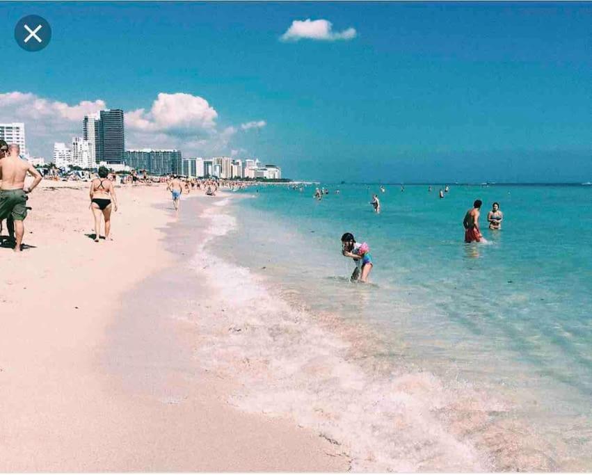 New Luxurious Studio Private In The Heart Of Miami Eksteriør billede