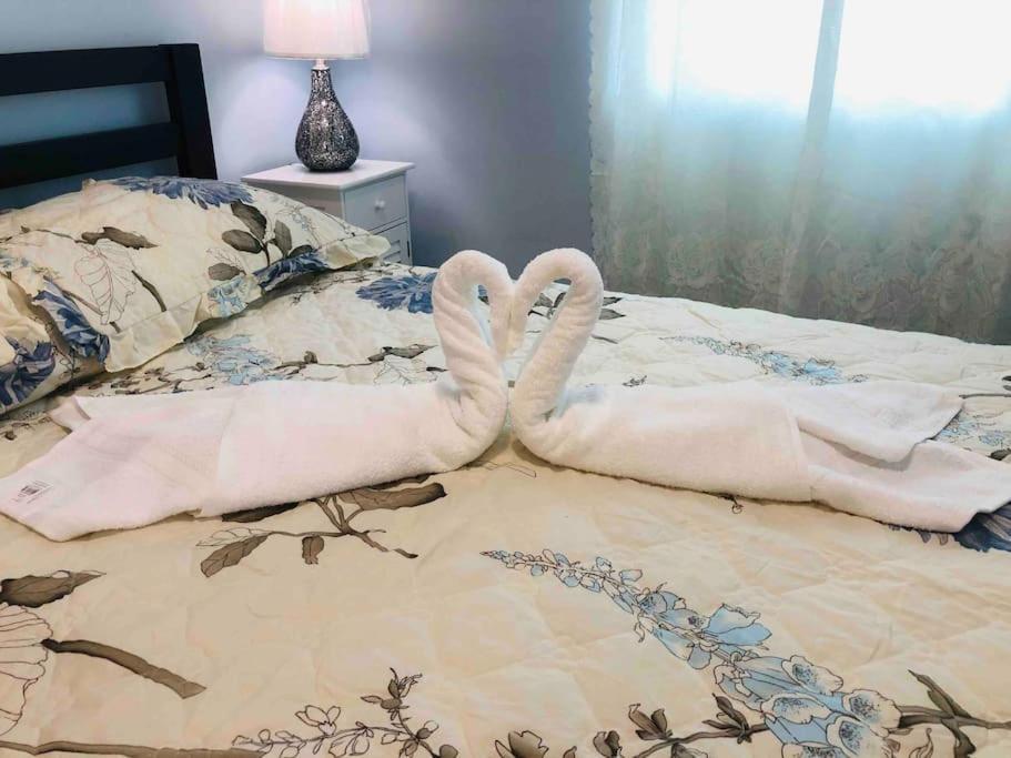New Luxurious Studio Private In The Heart Of Miami Eksteriør billede