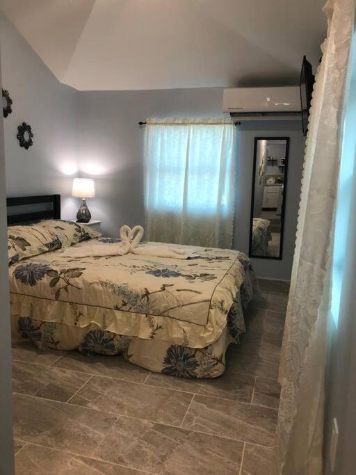 New Luxurious Studio Private In The Heart Of Miami Eksteriør billede