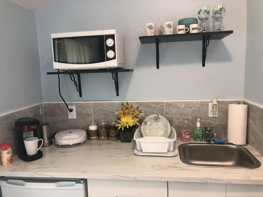 New Luxurious Studio Private In The Heart Of Miami Eksteriør billede